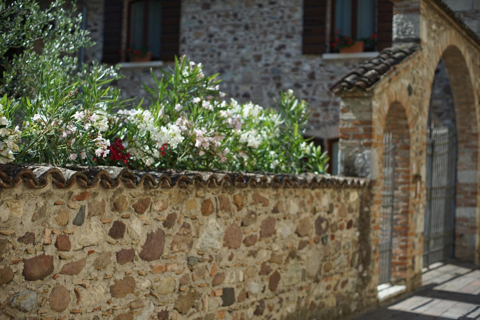Ca Nova Agriturismo Castellaro  Bagian luar foto