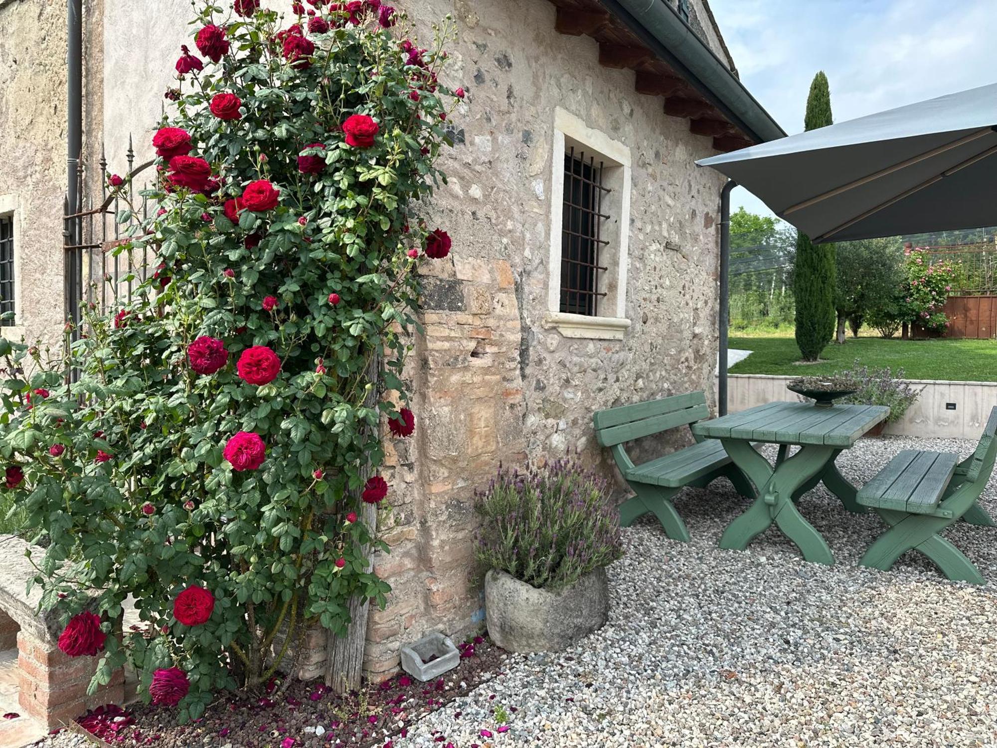 Ca Nova Agriturismo Castellaro  Bagian luar foto